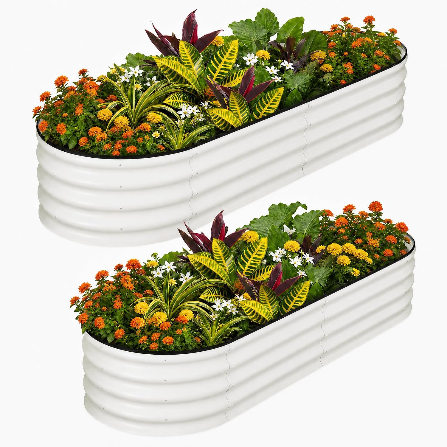 Planter Raised Metal - Tacleekii 6X3X1FT Canteiros Elevados Ovais Galvanizados,